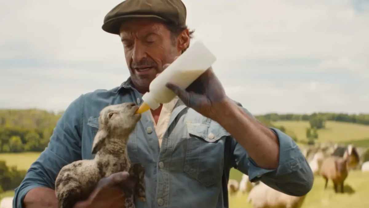 A still from The Sheep Detectives