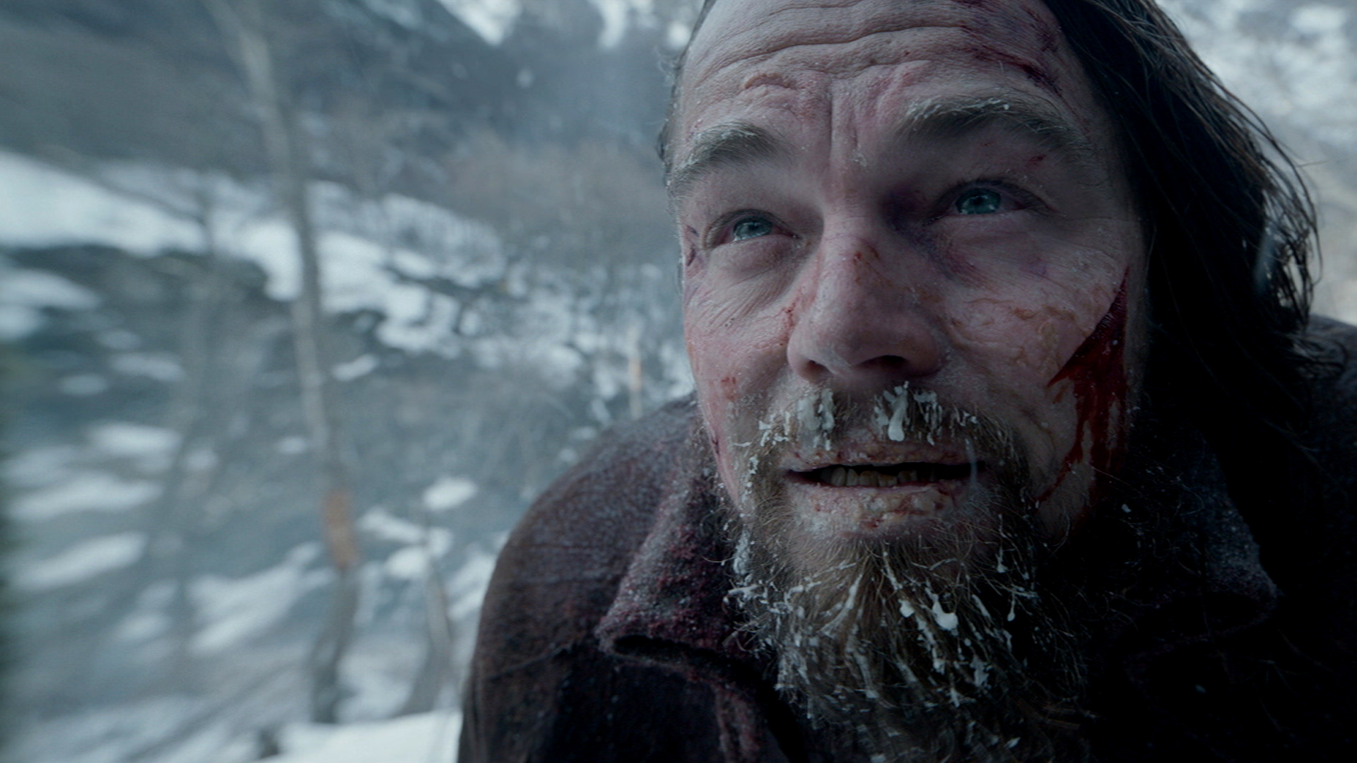 A still from The Revenant