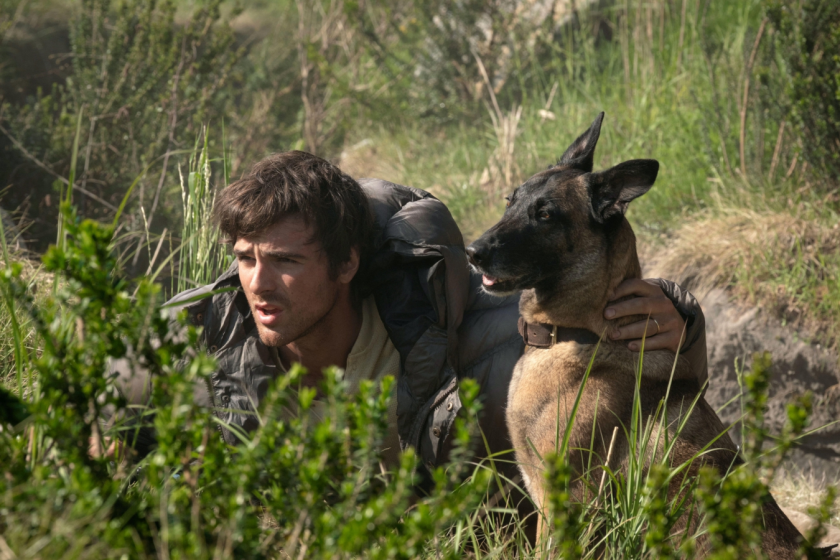 Jacob Elordi crouches in the wilderness beside a dog in The Dog Stars.