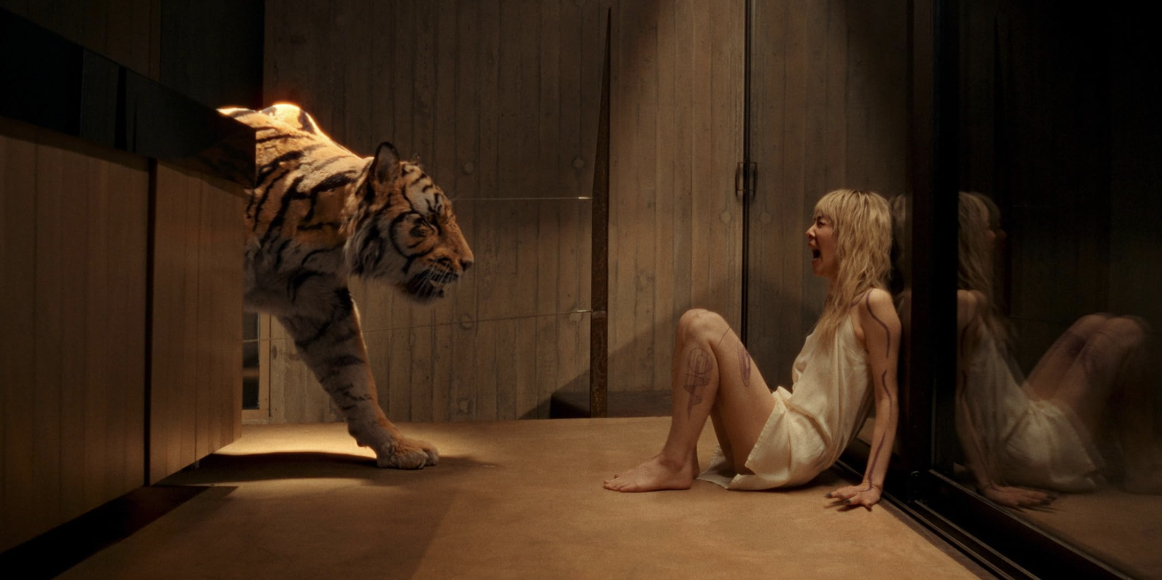 A tiger approaches a frightened woman inside a modern interior in Hot Spot.