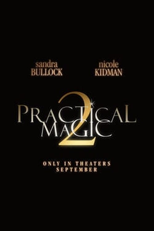 Practical Magic 2 poster
